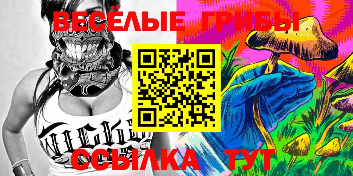 Меф кристаллы  Гашиш  ГАШИШ  Вход с VPN  Гатчина  МЕФ  КОКАИН 
