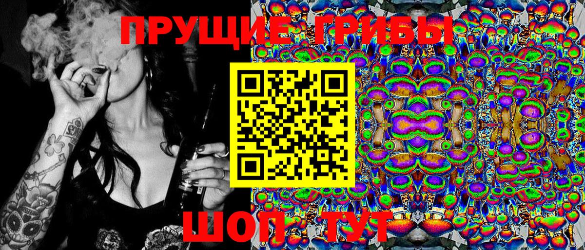 Гатчина  Галлюциногенные грибы Psilocybine cubensis  Вход с VPN  Галлюциногенные грибы Psilocybe 